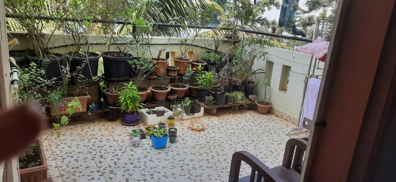 resale property in pune